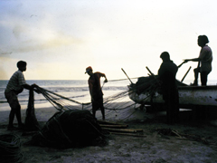 Nelayan di pantai